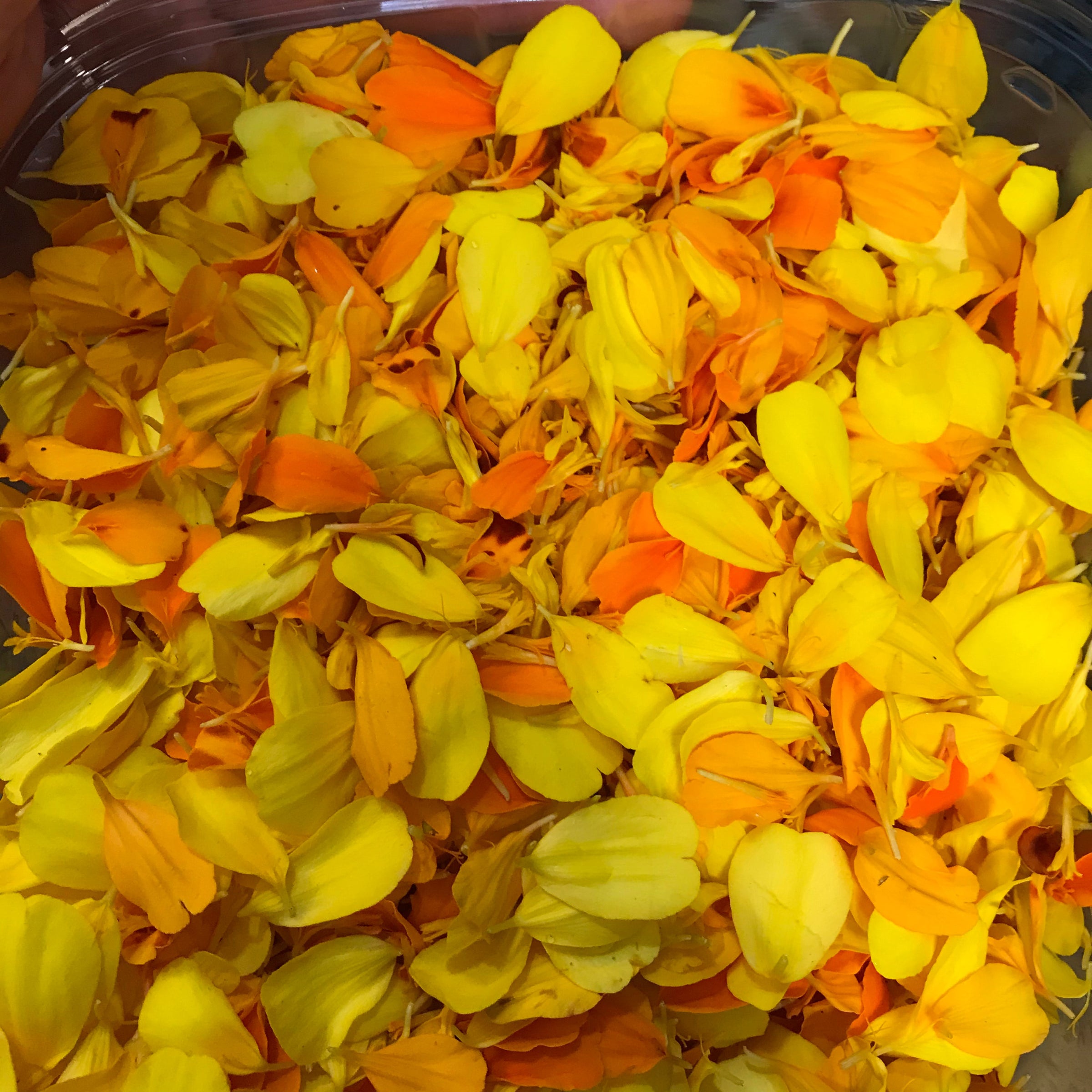 Marigold Flower Confetti (edible)